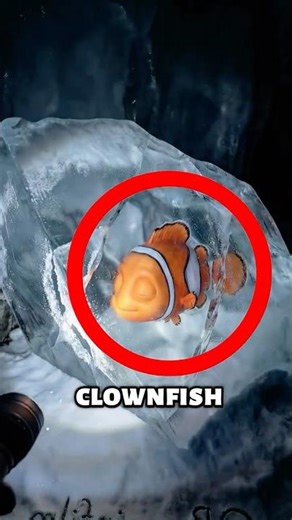 How Did Ice Age AND Finding Nemo Characters End Up Frozen in a Glacier? 😨❄️