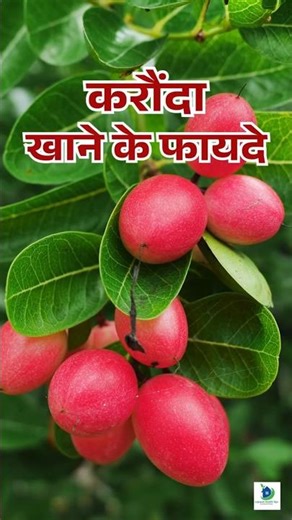 5 surprising benefits of eating cranberries 😱 You'll start eating them today! #karonda #healthtip...