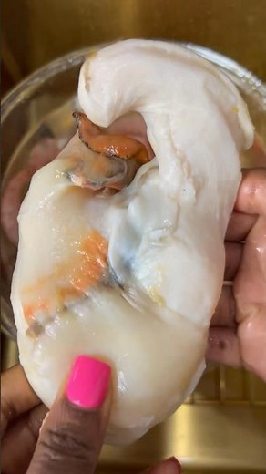 CURRY CONCH|Conch Recipe|The Rainas kitchen #food #bahamian