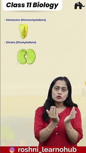 Monocots , Dicots | Plant Kingdom Class 11 Biology with Roshni Mam #concepthogacrystalclear