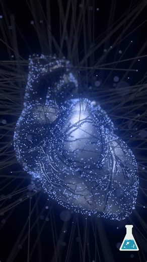 At ScanLab, we’re not just focused on individual parameters. We also show you the outcomes and how the parameters affect the outcome. Our goal is to help students and techs develop a comprehensive understanding of the modality of MRI and CT. #mrisimulation #mrisimulator #mrieducation #mritraining #scanlab | ScanLab