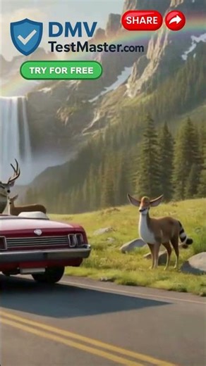 Master the DMV Test & Conquer the Road – DMVTestMaster com