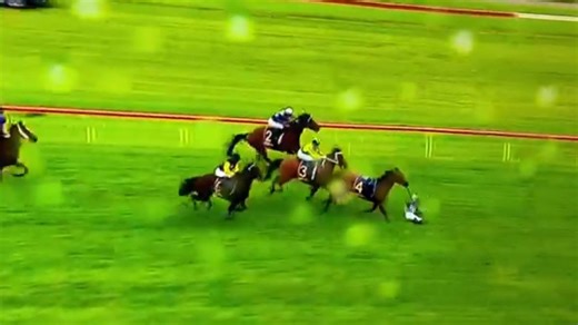 VIDEO. "Incroyable !" Scène folle à l’hippodrome, un cheval assène un coup de tête à un jockey rival et provoque sa violente chute