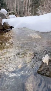 227K views · 4.3K reactions | Part 1 - Cooking Trout at Bushcraft Tent. #fishing #outdoorcooking #camping #outdoor #camp #kamp #cooking #fish #food #foodvideo #cookingadventures | The Note Cook | Facebook