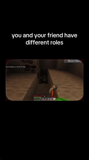 Exploring Minecraft Roles with Friends