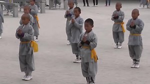 11K views · 474 reactions | Kids mastering Kung Fu Shaolin https://wingchunkungfu.eu/?s=shaolin IG: @wingchunkungfueu | Wing Chun | Facebook
