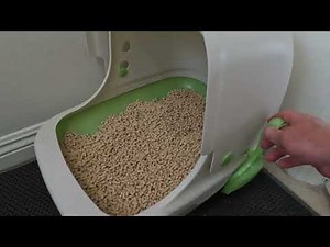 Tidy Cats Breeze Hooded Cat Litter Box System Review-Quick and to the point!!!!