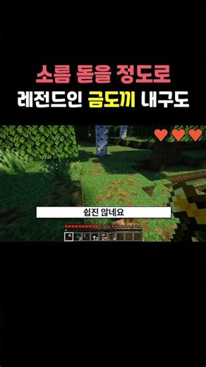 금도끼의 충격적인 내구도 #minecraft #마인크래프트 #마크 #게임 #생존 #game