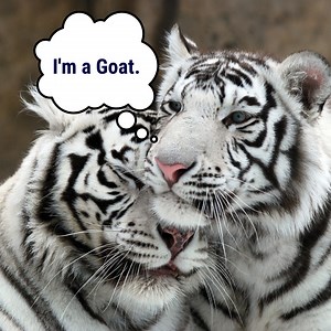 What this short and sweet parable teaches us about creating an extraordinary life... Every one of us is FAR more powerful, capable and skilled than we think we are! 💪🙌🤩 (Watch the video to see what I mean...) So many people in the world THINK they can't change their circumstances... But in reality, we ALL have what it takes to create tangible results in our lives. Whatever we want to create in life... Whether something BIG like increasing your salary and buying your dream house -- or somethin