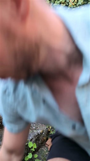 BOTERKOEK (DUTCH BUTTER CAKE) 🇳🇱 Dutch baking (and ditch food in general) is severely underrated. I grew up with Dutch foods and flavours and was lucky enough to travel to Amsterdam in 2019. We're heading back to The Netherlands in August this year, so to get into the spirit and celebrate Dutch baking, I've made this classic dutch recipe - Boterkoek. The first thing you'll notice is that it's less of a cake, and more of a shortbread. But whatever category you put this in, it's simple to make, 