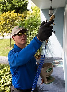 South Florida Pest Control by the Exterminators One Two Tree