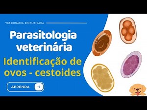 Identificação de ovos cestoides Parasitologia Veterinária