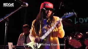 89K views · 3.7K reactions |  Mo Ali & The Wailing Experience ❤ - Natty Dread (Ina Babylon) -  Reggae live concerts  | Reggae-agenda | Facebook