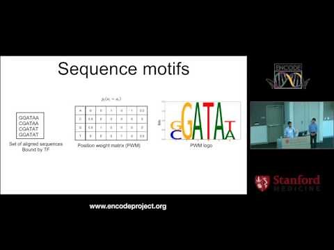 Deep learning for genomics - Anshul Kundaje