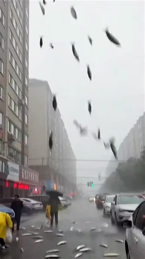 Lanaturesmood on Instagram: "Sky decided to go fishing today 🎣☁️ #nature #naturelovers #explore #washington #rain #beautiful #dream #losangeles #newyork #animal #animation #ai"