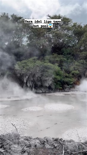 The Waiotapu Mud Pool is a free-to-visit geothermal attraction near Rotorua, New Zealand, famous for being the country's largest mud pool. It is a constantly active, bubbling site, formed from the remains of a mud volcano that was destroyed by erosion in the 1920s. 😱🥵📍🇳🇿 #fblifestyle #reelsfypシ #fypシ゚ #fbpost #mudpool #rotorua #newzealand | Vibes Good