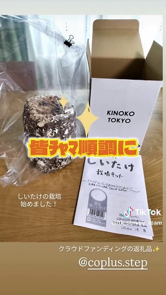 皆のお家にしいたけ栽培ｷｯﾄが届いたみたい👶🏻✨ #職業調査隊 #就労支援 #就b #椎茸栽培 #椎茸 #きのこ #きのこオタクの日常 #しいたけ