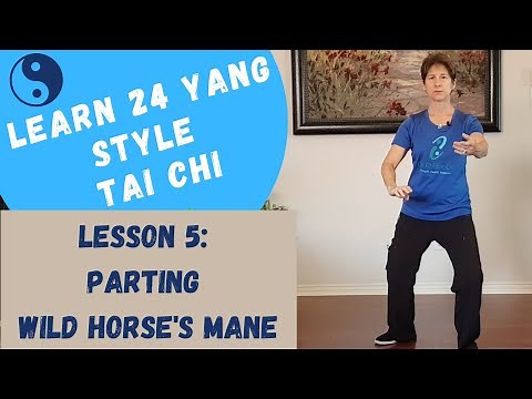 Yang Style Tai Chi: Parting Wild Horses Mane; Step-by-Step Instructions