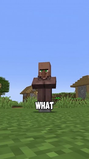 Enhancing Minecraft Gameplay with Useful Villagers Mod