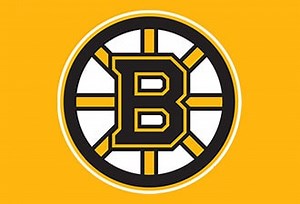 Boston Bruins Hats at hatland.com