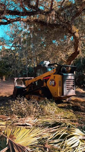 Forestry Mulcher Attachment Sneak Peek for Land Clearing