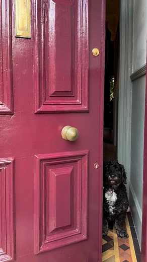 You don’t always need new - sometimes a little TLC makes all the difference ✨ I’ll link everything that I used in my stories and save to my November highlights | Kerry Lockwood - In Detail