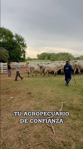 Que chimba de vida, todo un agropecuario 🤠🍻