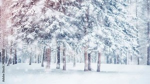 Beautiful snow-covered trees spruce in the forest in winter during a snowfall. Many trunks trees forest park wood. Fantastic Fairytale Magical Landscape. Christmas Winter New Year Scenery background