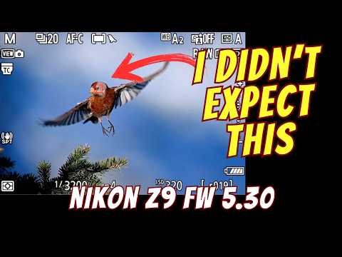 Is Bird AF Better? Nikon Z9 Firmware 5.30 Tested