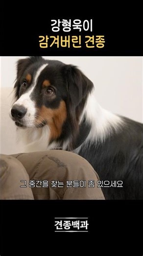 초면에 실례지만 반해버렸습니다..