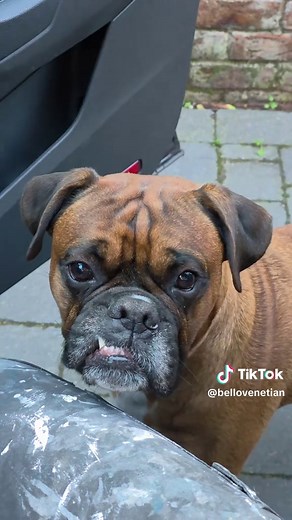 Transform Your Space with Venetian Plaster Techniques