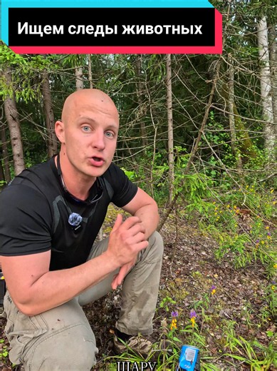 Ищем следы животных в лесу. #2026 #экология #лес #outdoors | outdoors