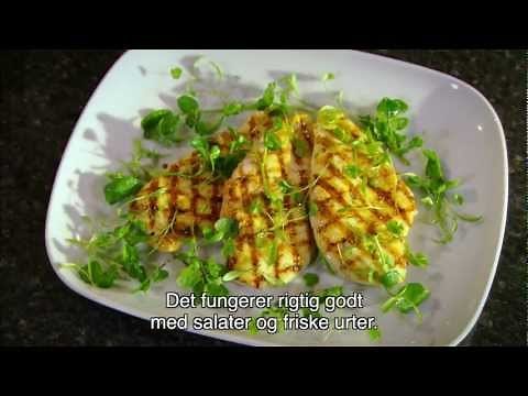 Knorr Danmark - Kylling marineret i Karry med brøndkarsesalat