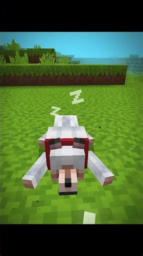EXPECT THE UNEXPECTED#minecraftshorts