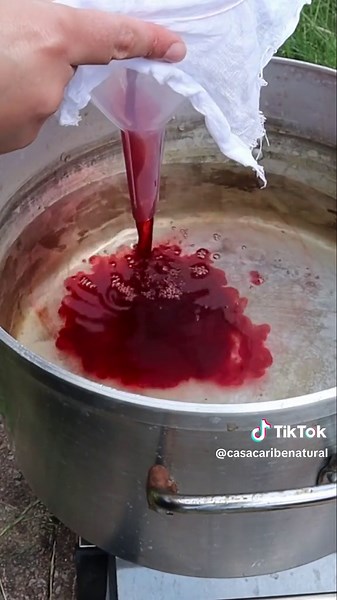 🦋✨ Watch as I transform fabric using cochineal, an ancient natural dye that produces the most stunning shades of red and pink. This dyeing technique has been used for centuries, and it's incredible to see how nature can create such vibrant hues! 🌿 In this reel, I’m showing you the process step by step, but for a deeper dive and more tips, check out the full tutorial on my YouTube channel—link in bio! 🎨💫 #CochinealDye #NaturalDyeing #TextileArt #SustainableFashion #DIYFabricDyeing