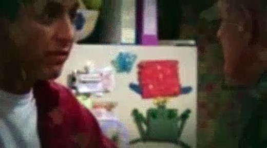 Everybody Loves Raymond Season 8 Episode 5 The Contractor