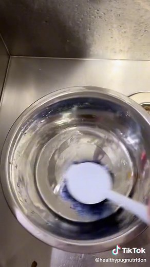 Dog Water Bowl Tips: Keep Your Pup Hydrated and Healthy!