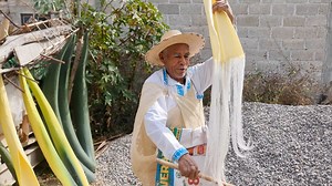 Así se trabaja el Hilo de Maguey en el Mejay, Chilcuautla, Hidalgo. don Marcelo aprendio a sacar la fibra de las Pencas, conocida como Ixtle. con este hilo natural se tejen ayates, mecates, bolsas. conoce esta maravillosa labor de manos Hidalguenses. 😁👏 primero se golpéa para triturar la pulpa de las pencas, despues se limpian las pencas con un brazo afilado hasta obtener las fibras, despues se poner a secar al sol. maravillosa labor desde el estado de Hidalgo. 😱 | Javier meza