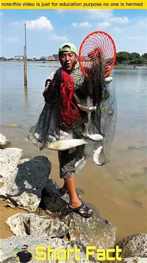 লোকটি নদীতে জাল ফেলে কি করলো দেখুন #viralvideo #fishing #facts #fishingequipment #fish #shorts