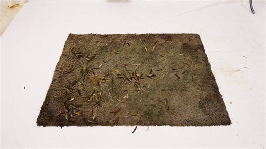 Left under a tree for a year