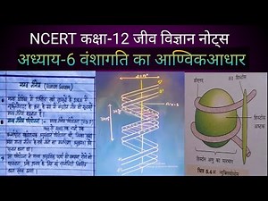 NCERT जीव विज्ञान 12-वंशागति के आणविक आधार class_12_biology_chapter_6_handwritten_notes