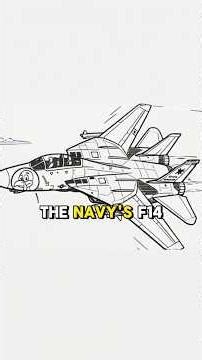 F-14 "Turkey" Destroyed the F-15 Eagle