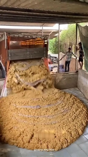 You Won't Believe What They Do With Cow Dung! 💩💸 #gogreen #gardening #diy