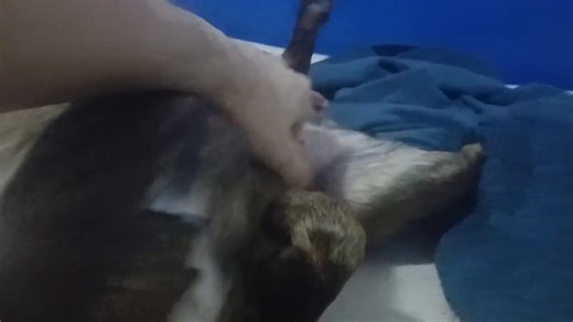 Over the Edge in just over an hour on 90.1 FM, WEFT! Streaming online at new.weft.org/listen! #goth #industrial #radio #independentradio #music #tannasg #liveradio #indie #dj #communityradio #communityradiostation #eastcentralillinois #indieradioillinois | Over the Edge