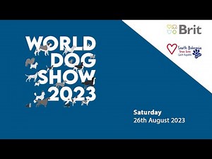 WDS 2023 - Saturday