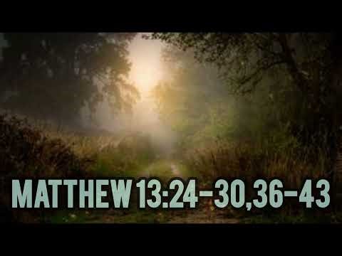 Wheat and Weeds – Matthew 13:24–30, 36–43