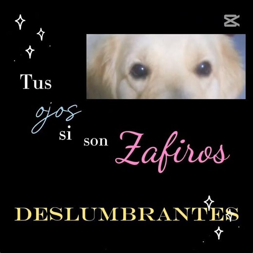 tus ojos ...