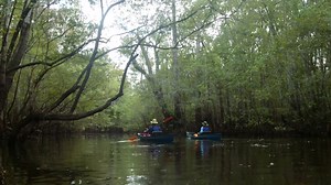 686 reactions · 51 shares | Locals will tell you, some of the best Charleston memories are made when you step outdoors. Charleston is an outdoor playground year-round for locals and visitors alike. Find your adventure. | Explore Charleston | Facebook