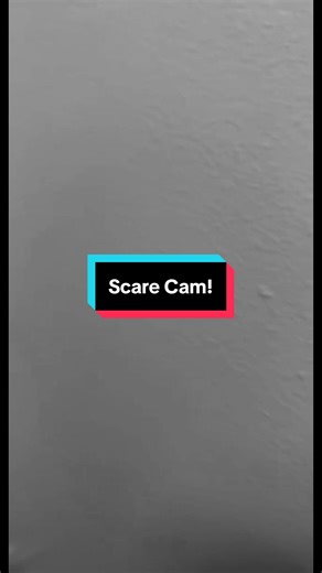 when covid tries to come back and scare you 😭 #fyp #scarecam #tiktok #foryoupage #funny