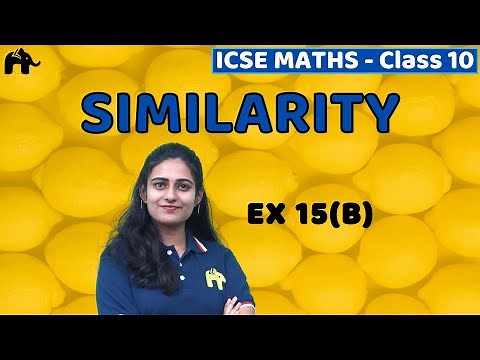 Similarity Class 10 ICSE Maths | Mathematics Chapter 15 Exercise 15B | Selina Questions